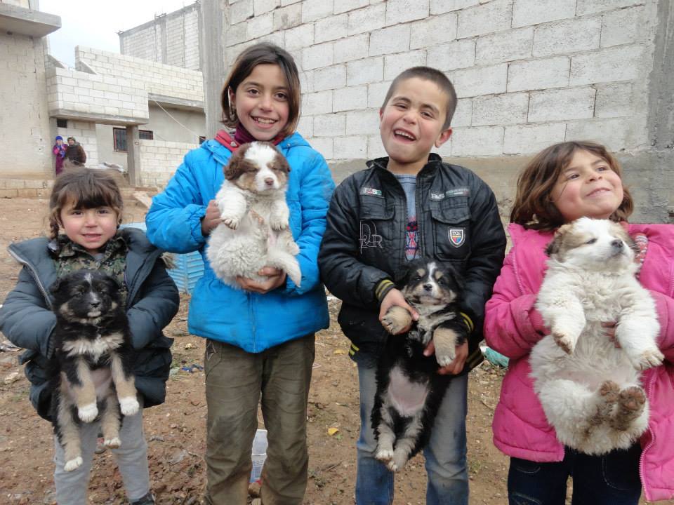 Rojava Versus the World | Antidote Zine